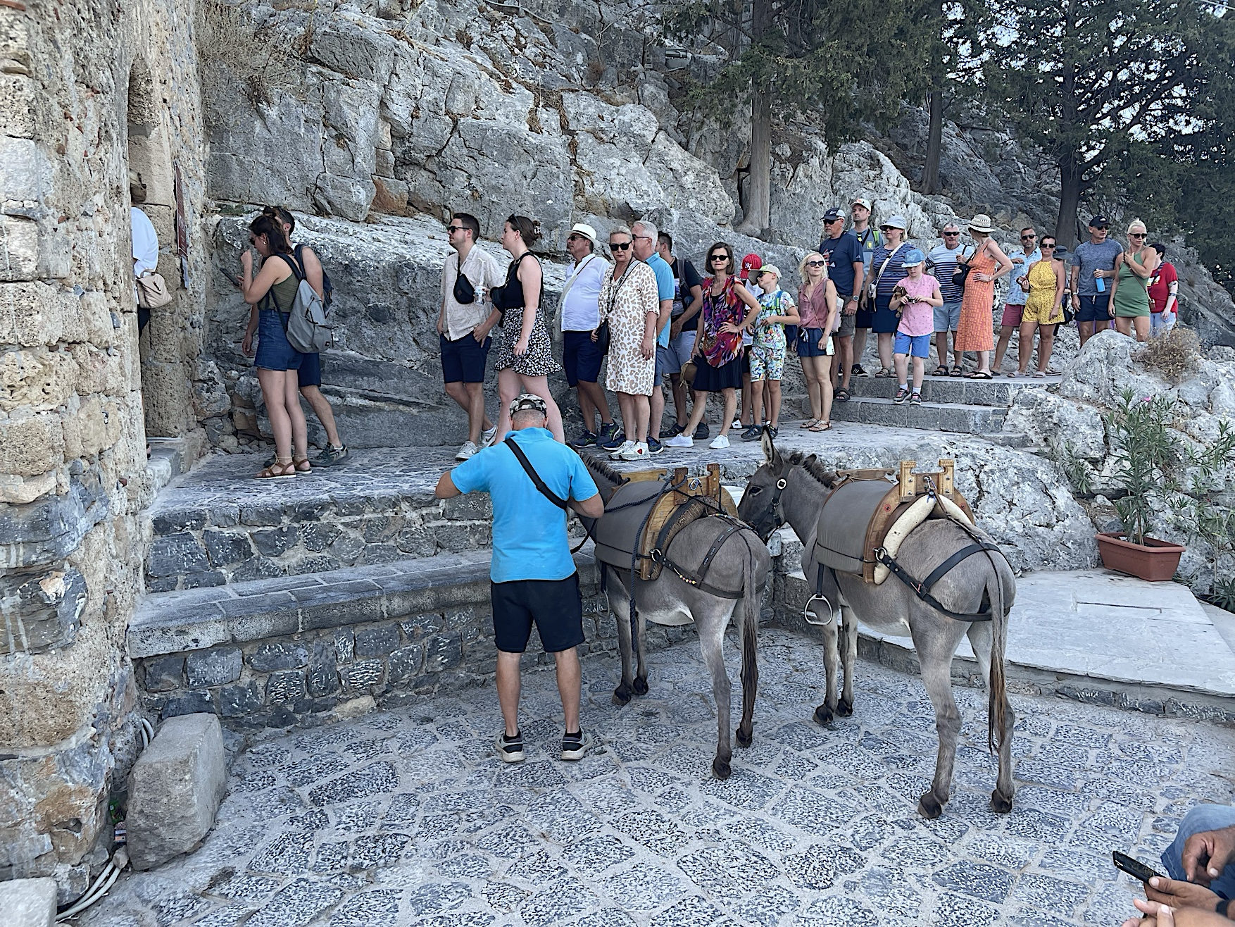 The line to get into the Acropolis of Lindos. Some people ride donkeys up and down.