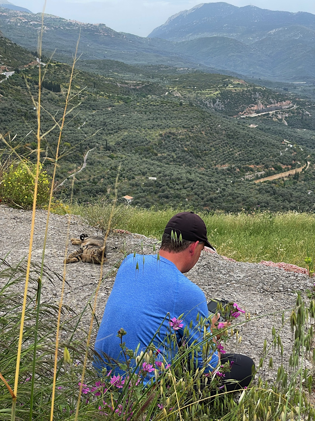 Chris went renegade and flew his drone over the site from this dirt road behind a screen of tall weeds.