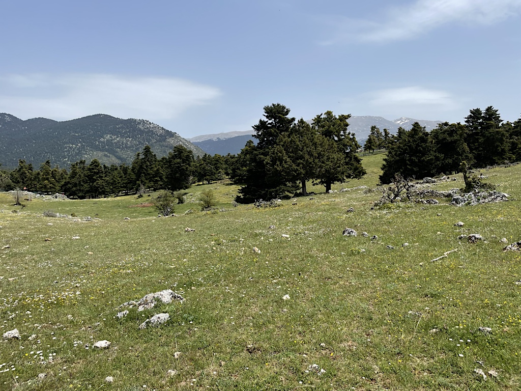 We exited the forest onto the high, open plateau that I believe is Kroki; there’s a famous spring up here.