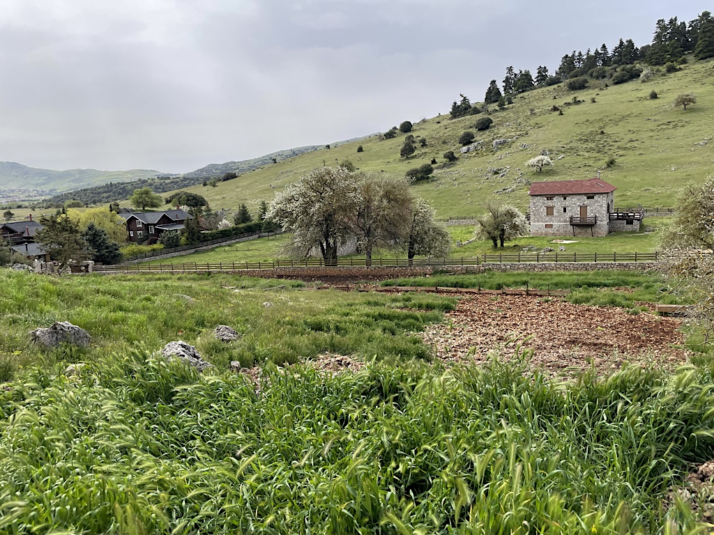 The cave is somewhere around here, about four hours from Delphi on foot.