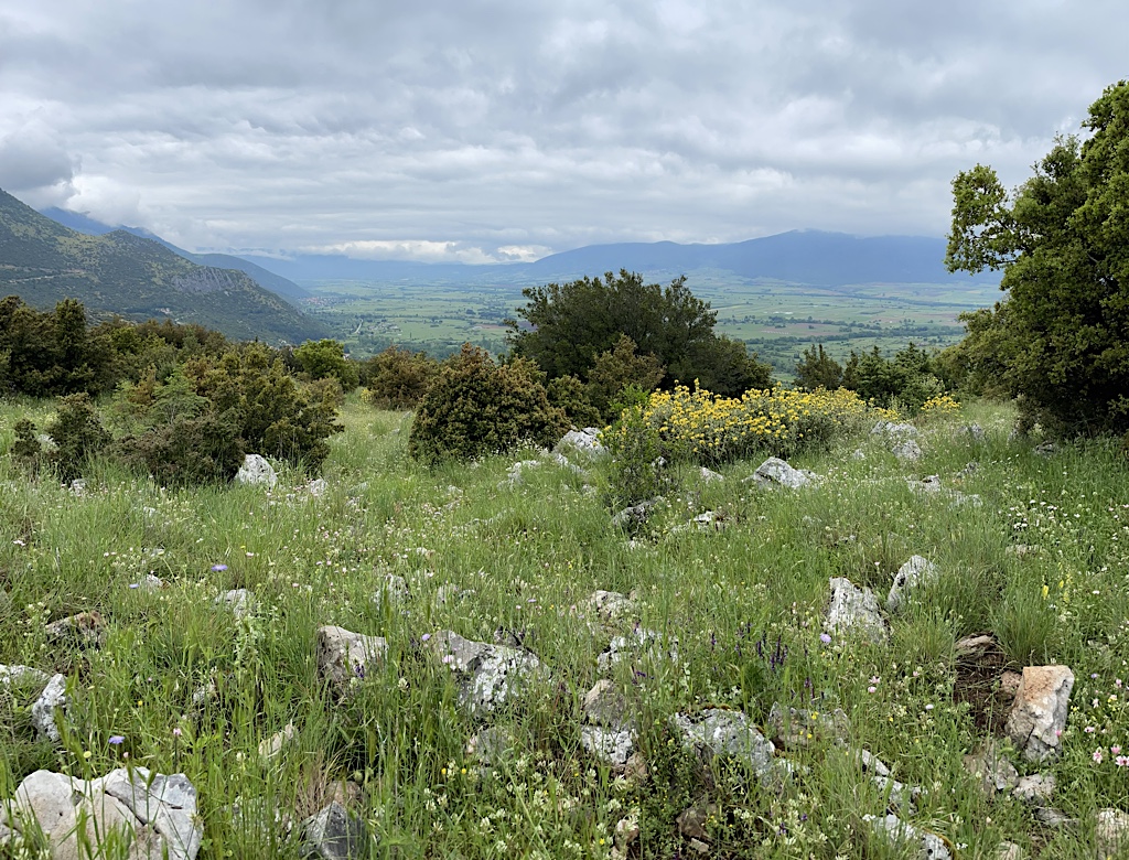 Much of the trail was through plants and over rough rocks.