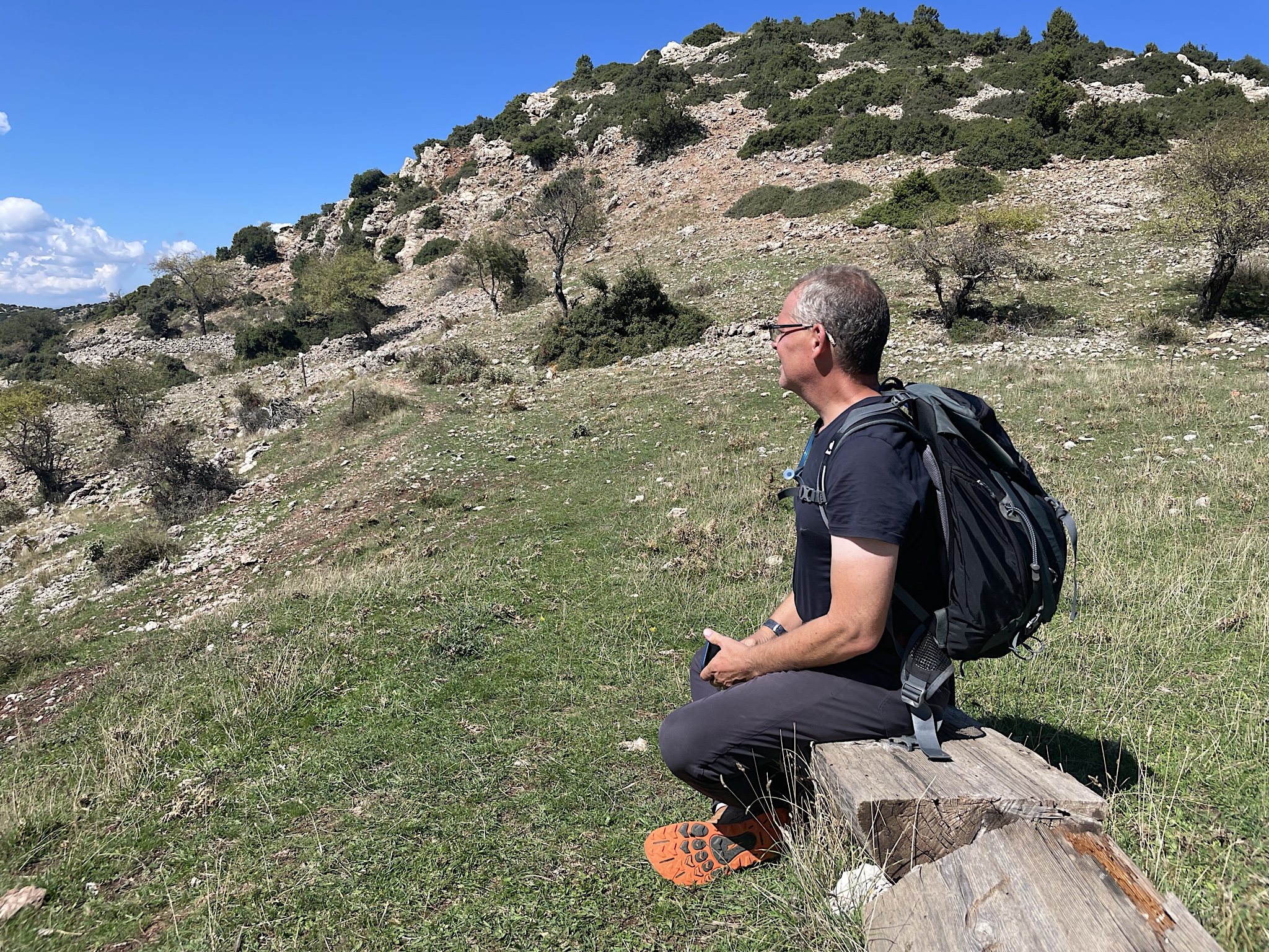 A dry landscape, fully of pricklies!