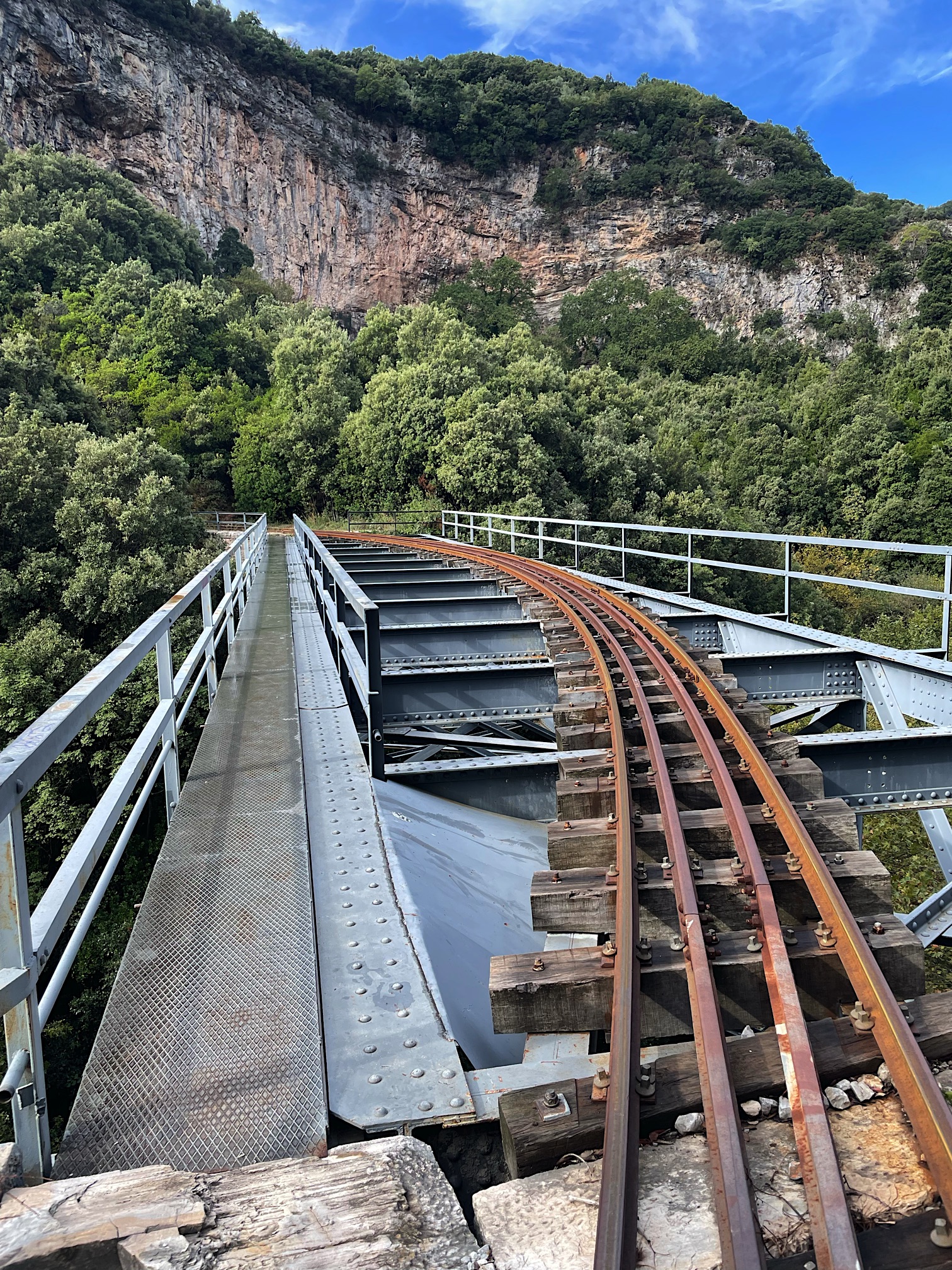 Pelion train track