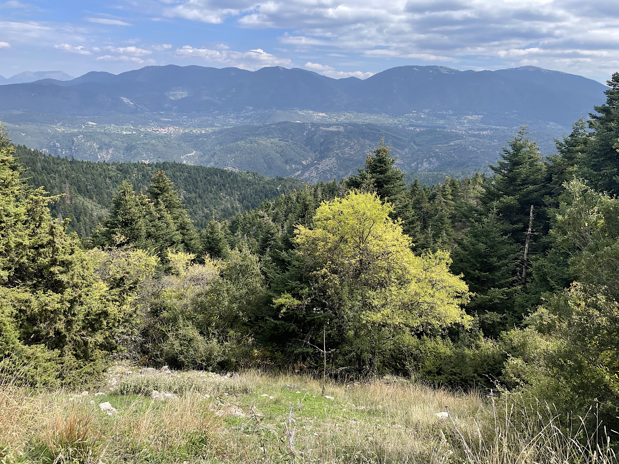 The view back to Vytina and Nymfasia