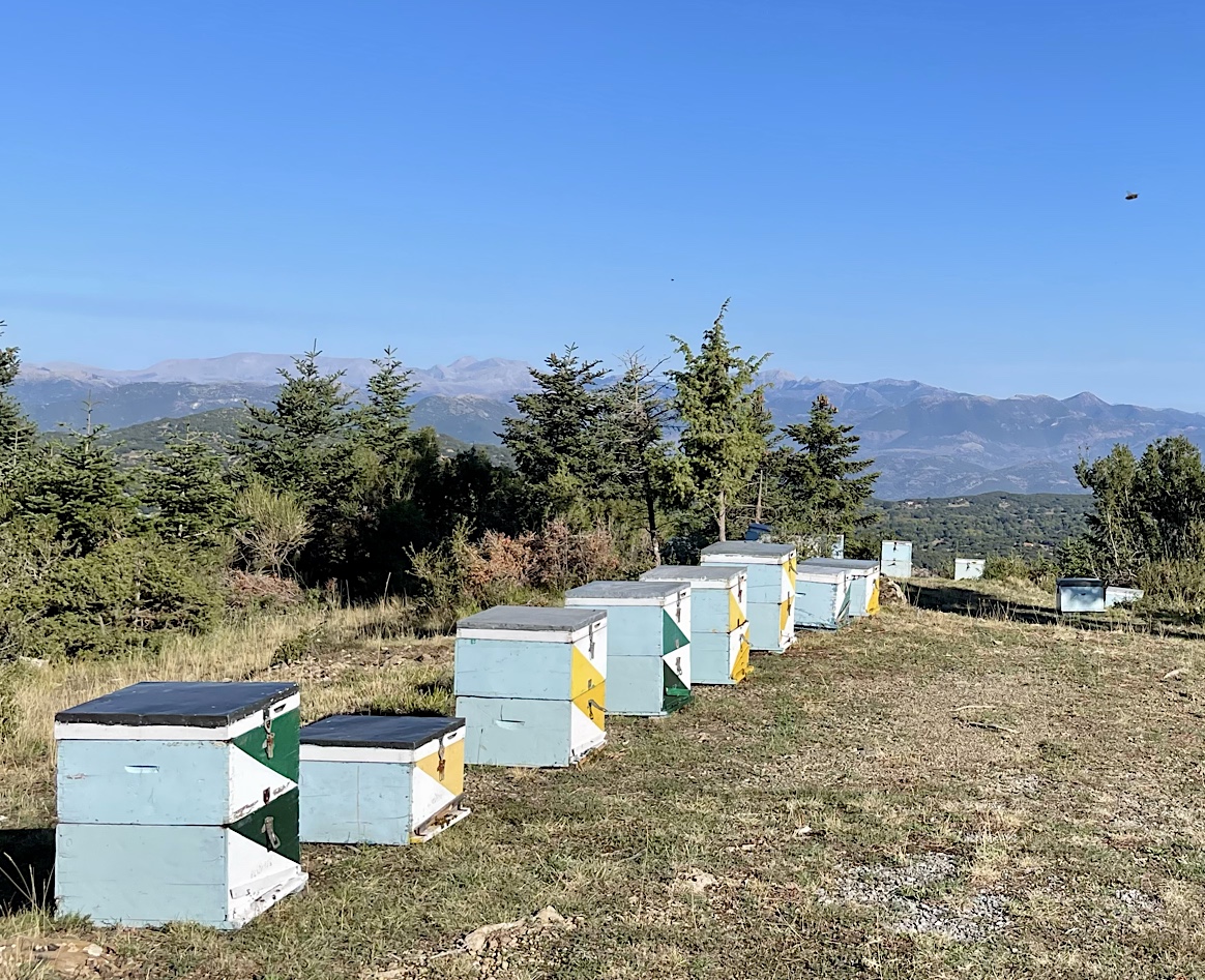 The source of all that local honey.