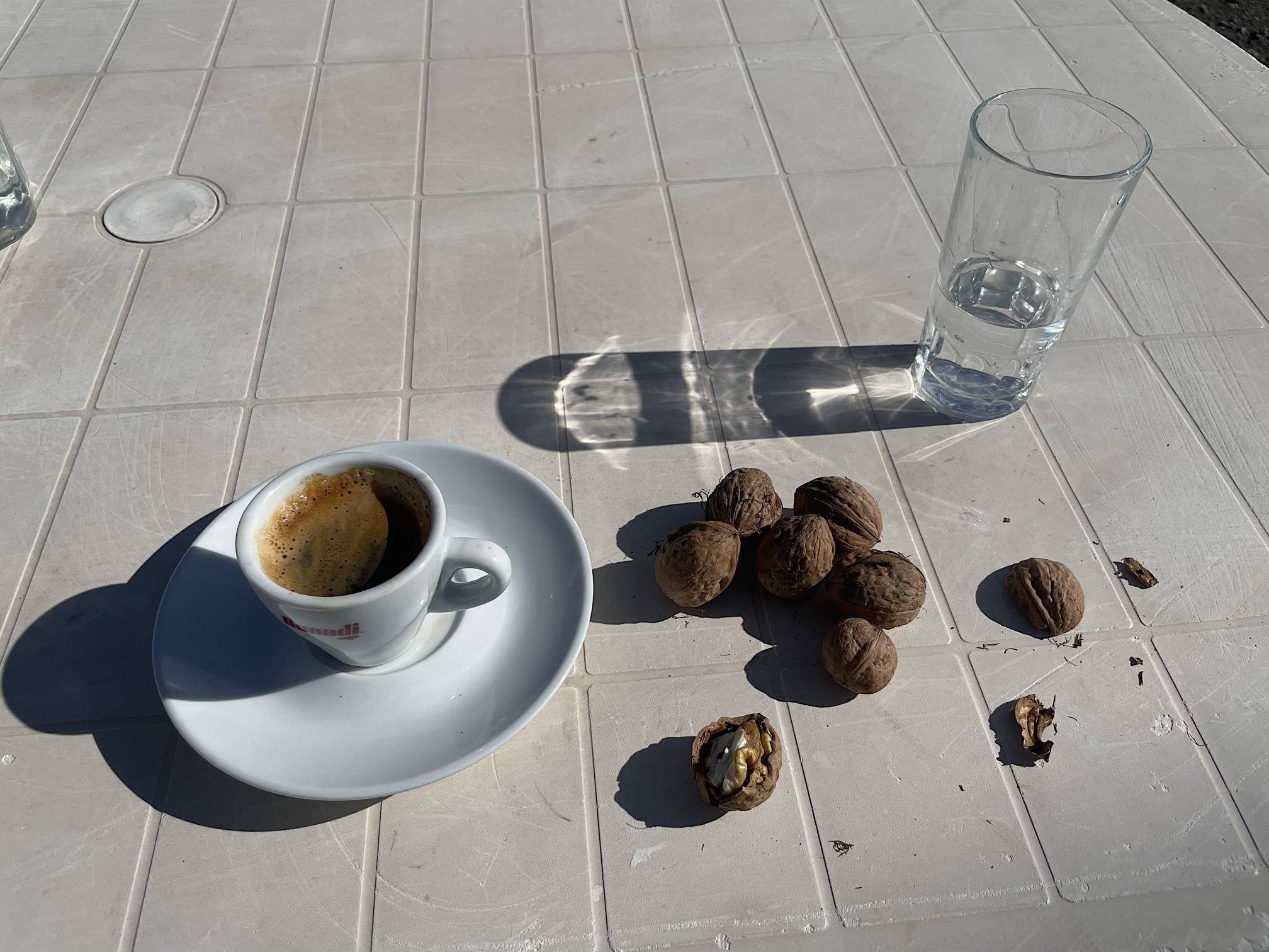 Fresh, free walnuts!