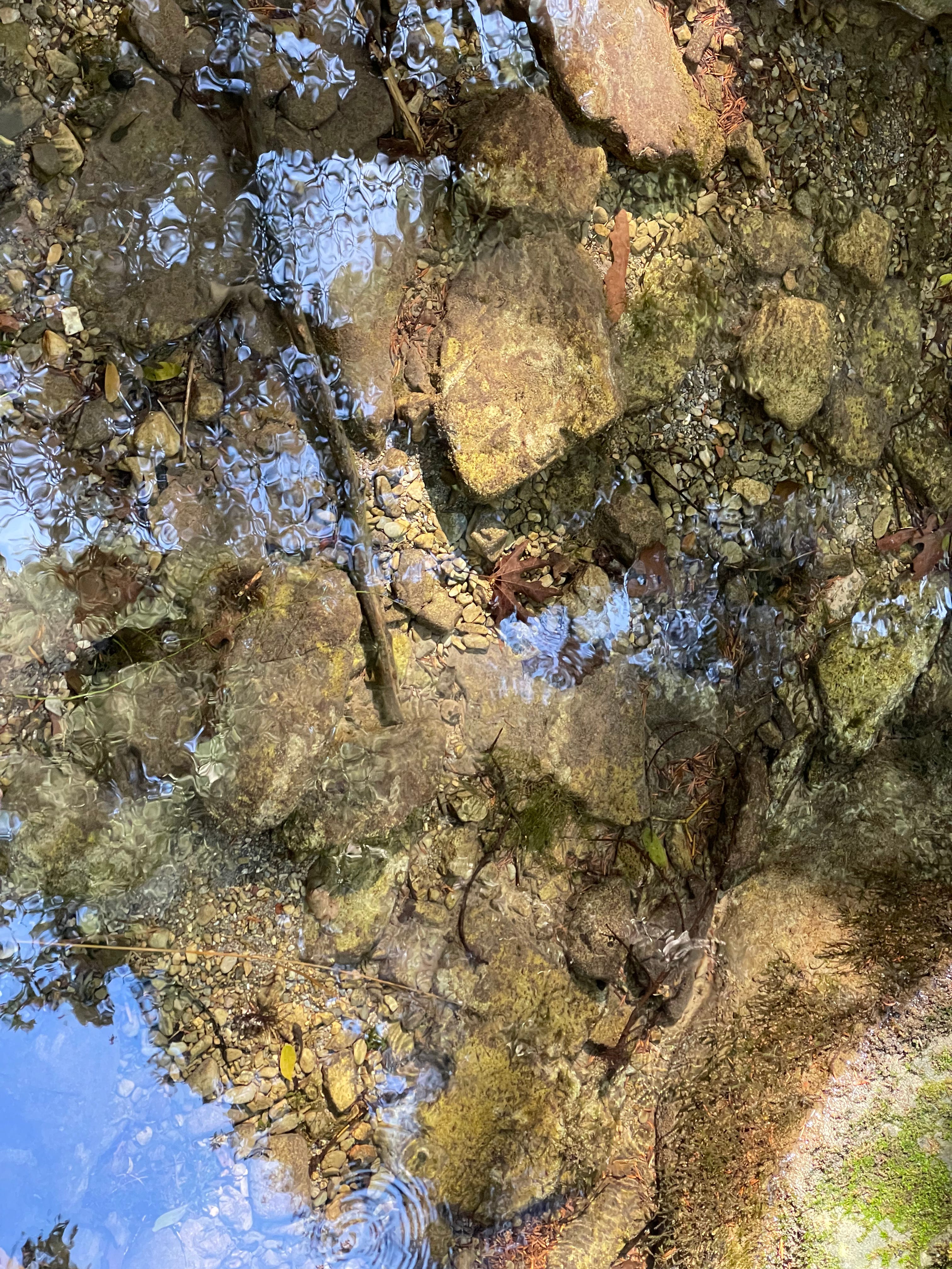 Lovely flowing water!