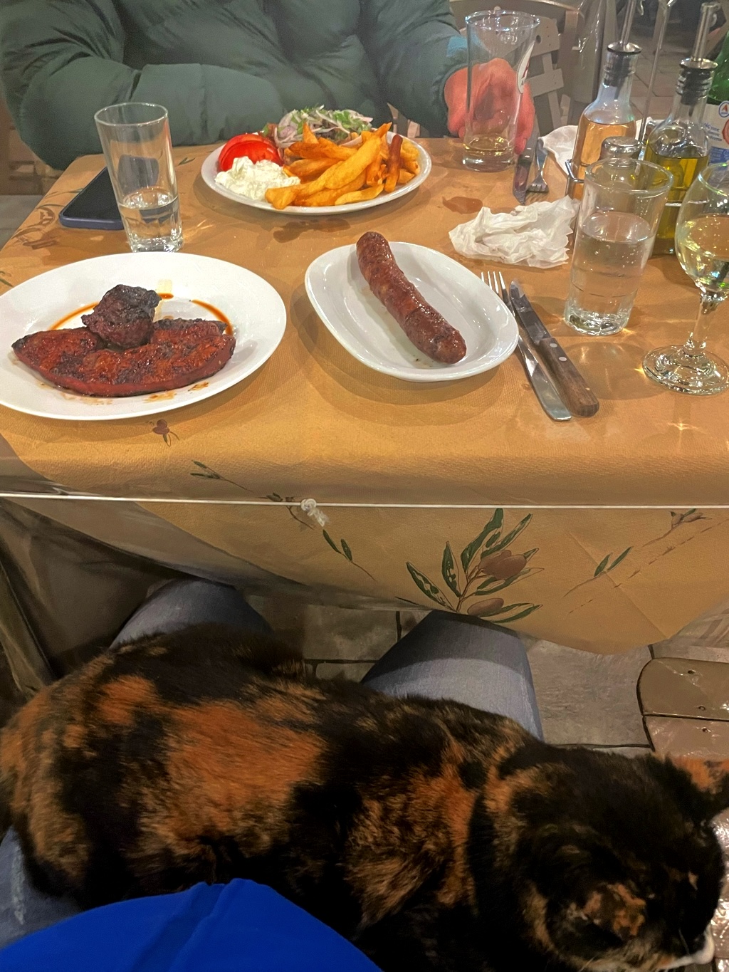 Psipsinil DOES like liver.