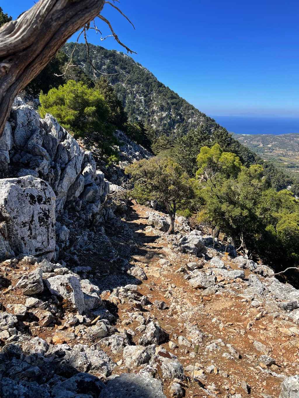 Trails in Rhodes are consistently rocky.