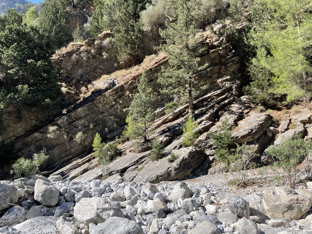 Evident uplift; look at the diagonal tilting!