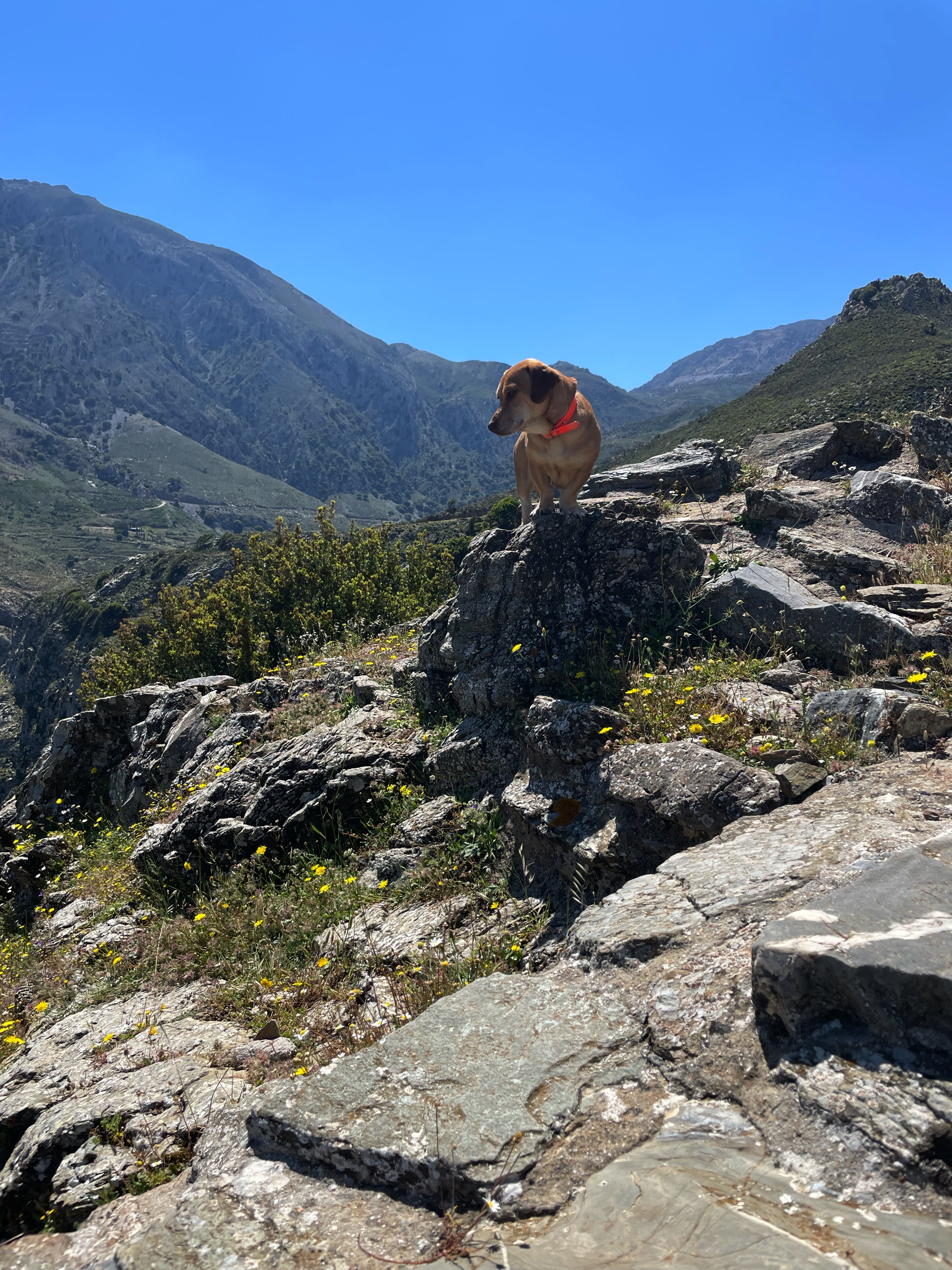 This trench was a potsherd mecca!