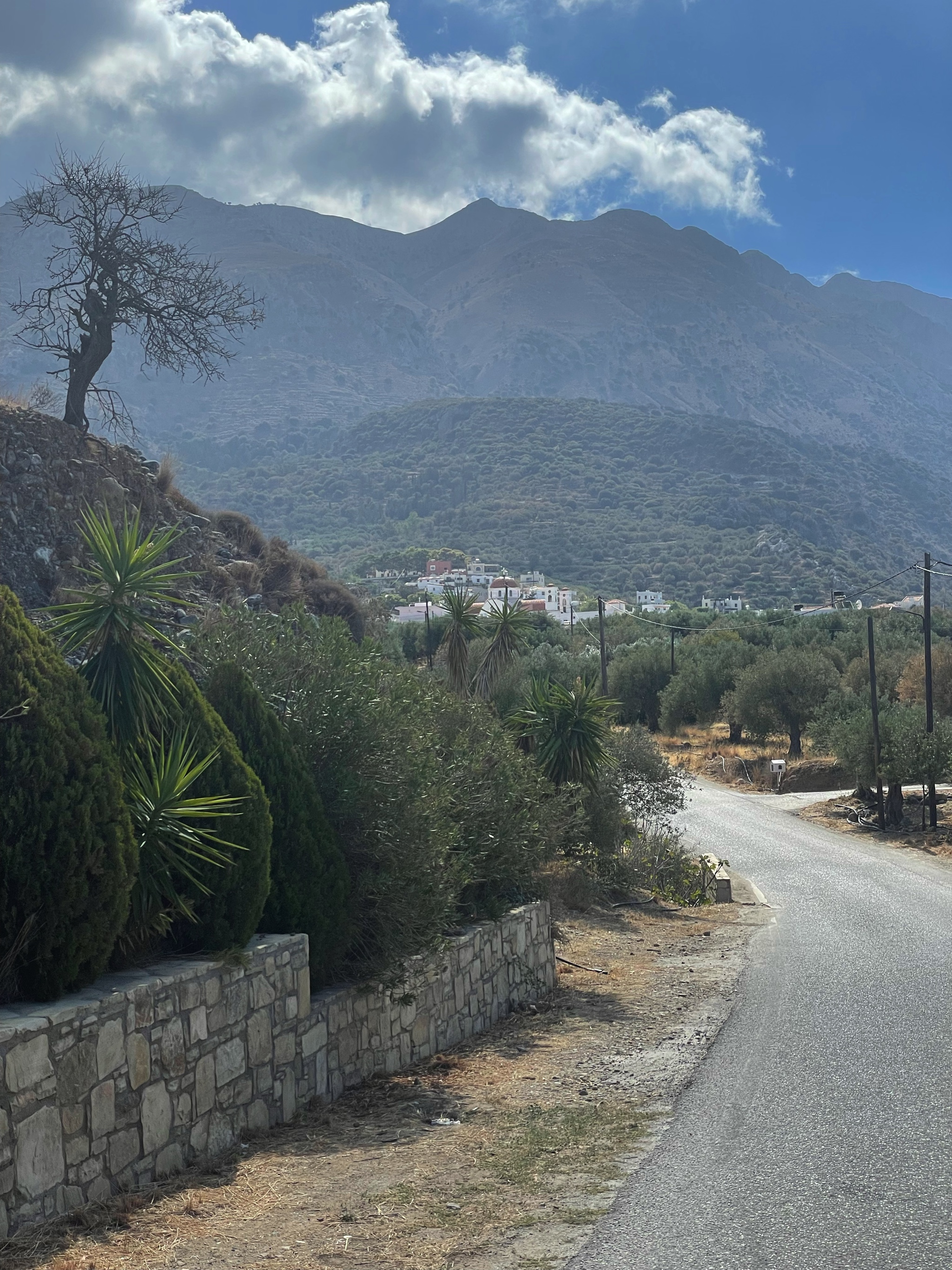 Walking back to Kavousi is ever so slightly uphill.