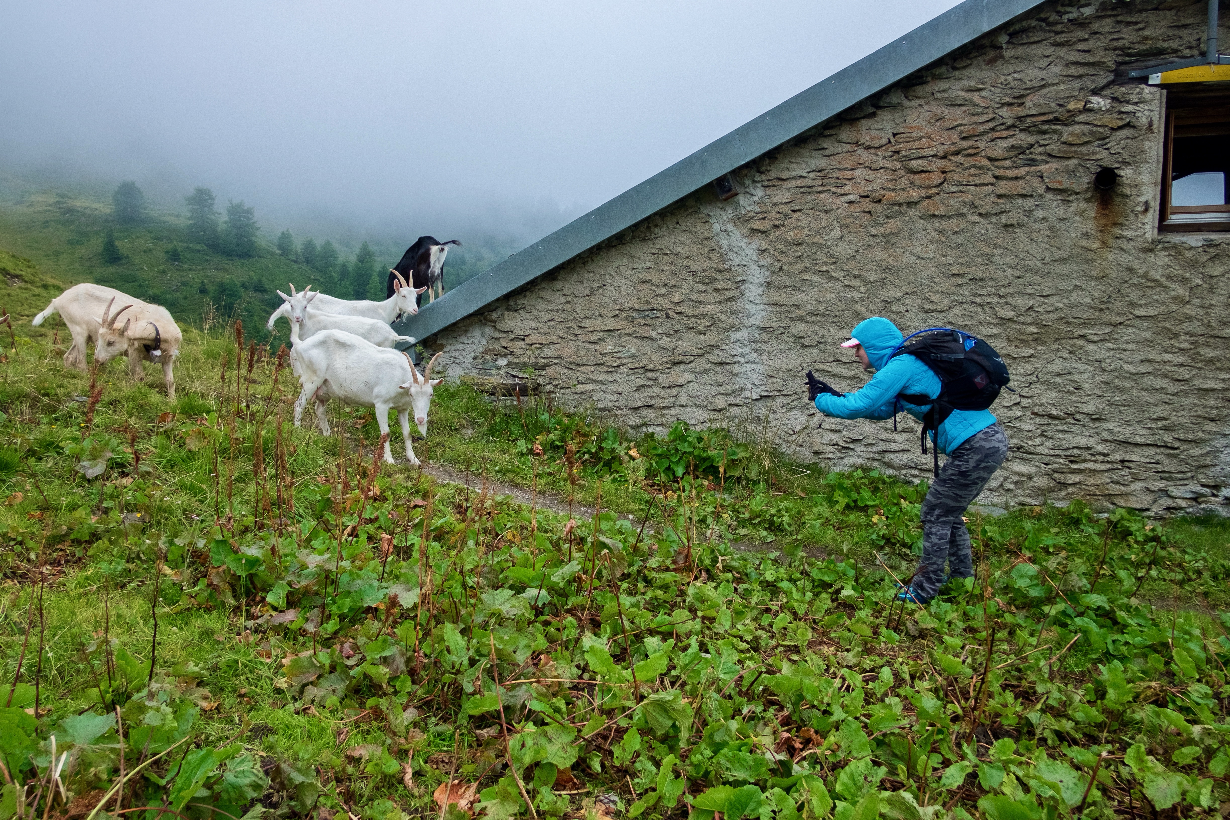 My new hoody getting some action on Alp Bovine.