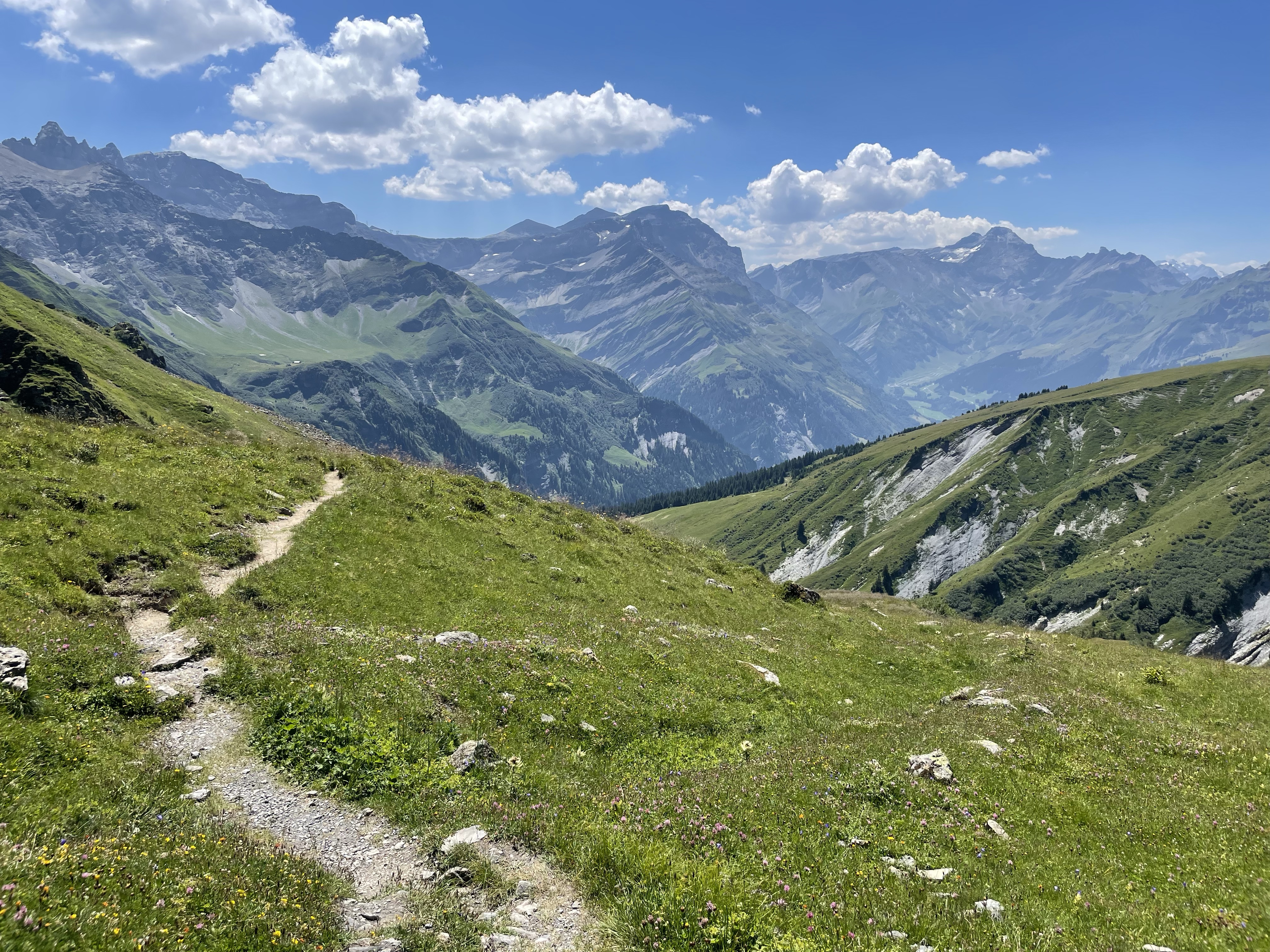 An easy pass: the approach to the flat, grassy, gentle Foopass on the Via Alpina (not on the Haute Route).