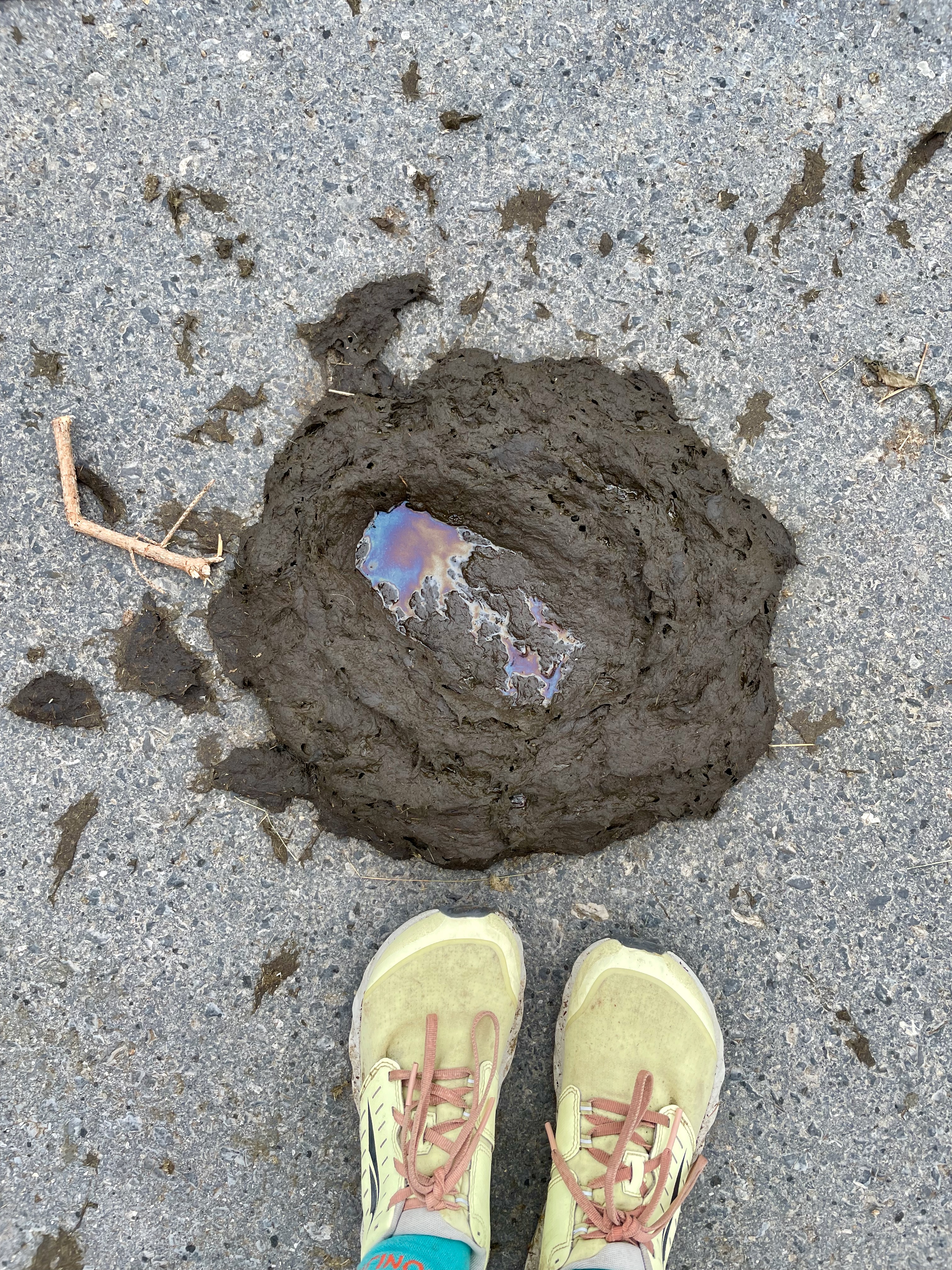 Amy wore Altra Superiors, the lightest trail shoes Altra offers.