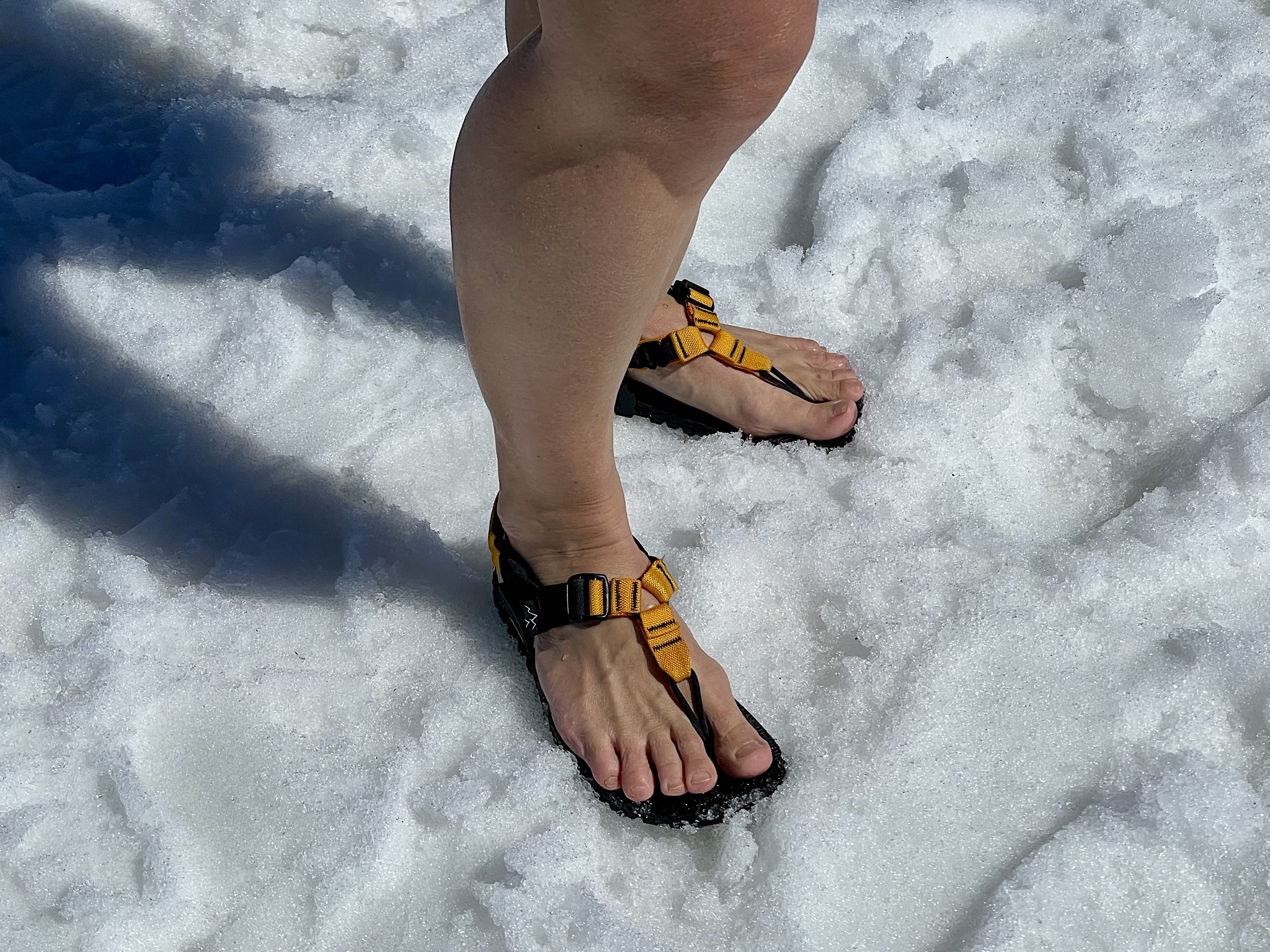 My saffron-yellow Bedrocks, which never cease to delight me!