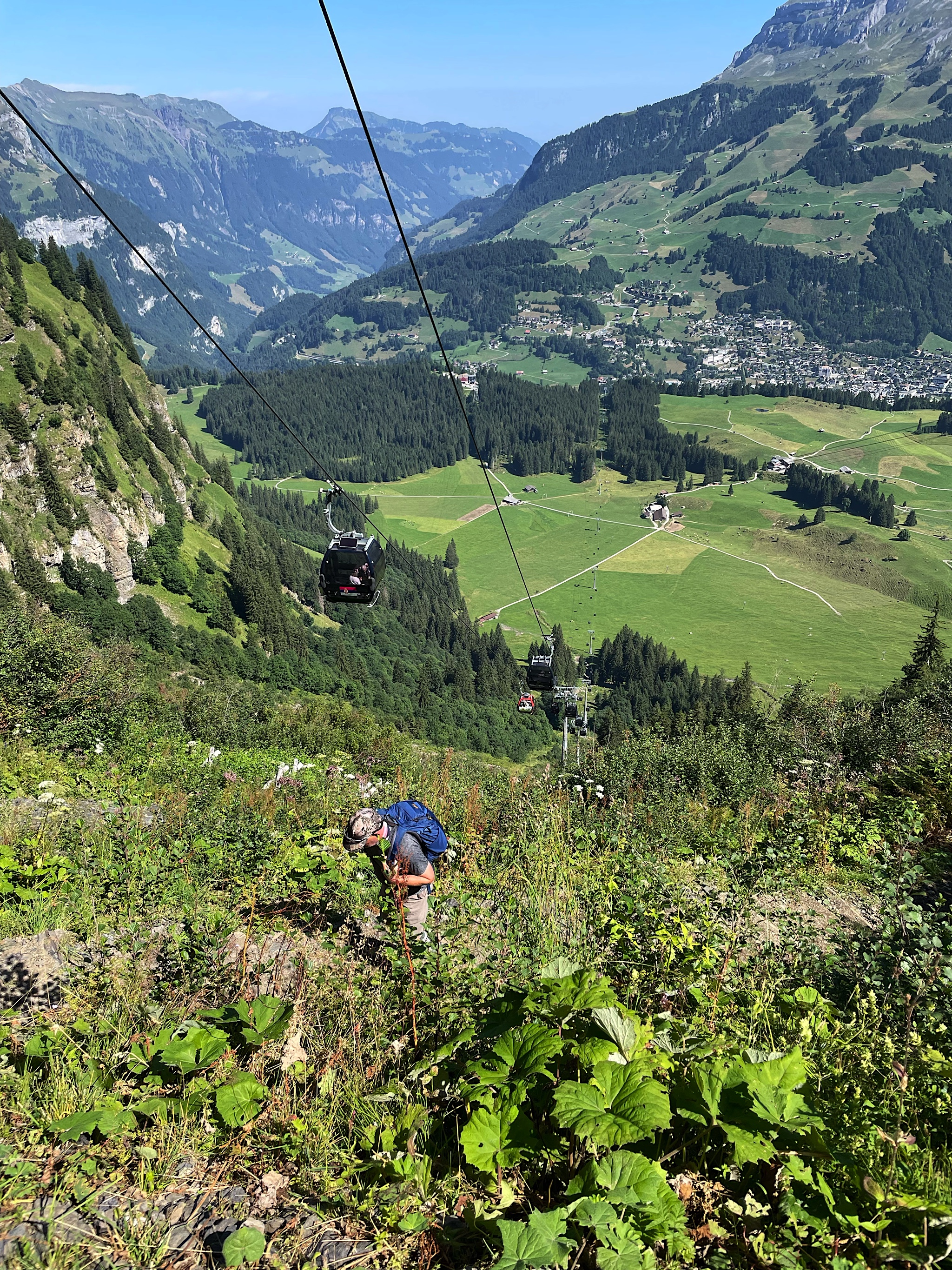 Looking back, with the cablecar above – and we’re not on it!