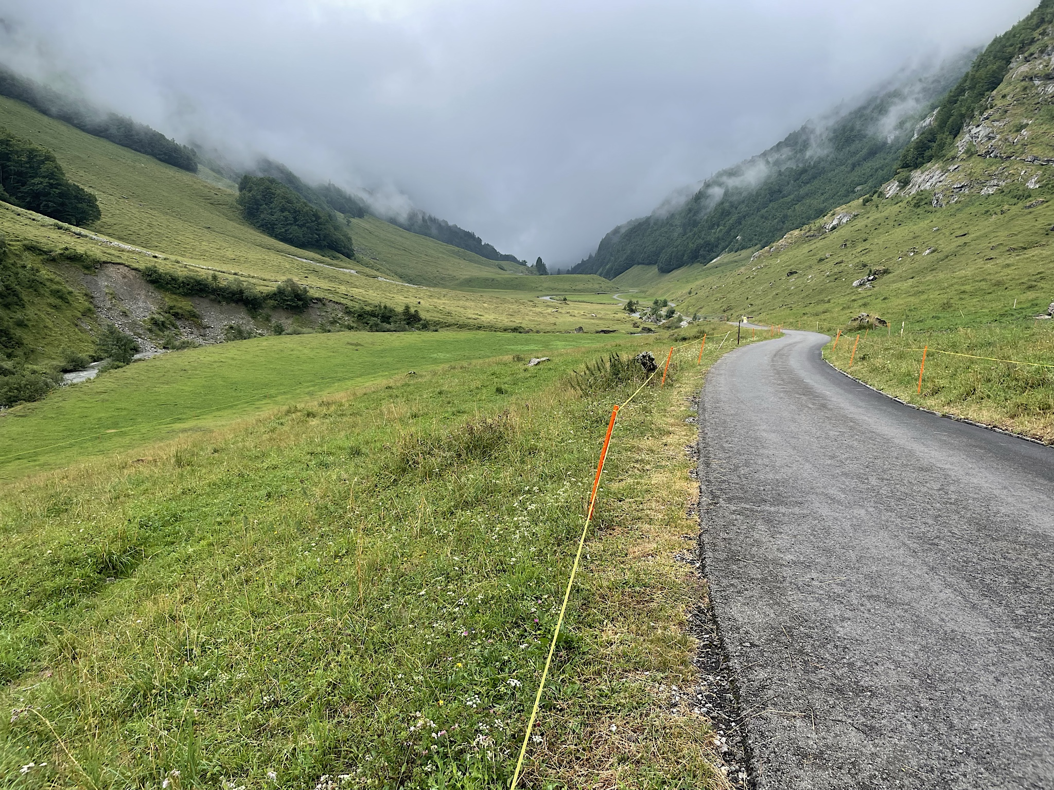 Some of the walk was on the road. The morning was uncharacteristically flat.