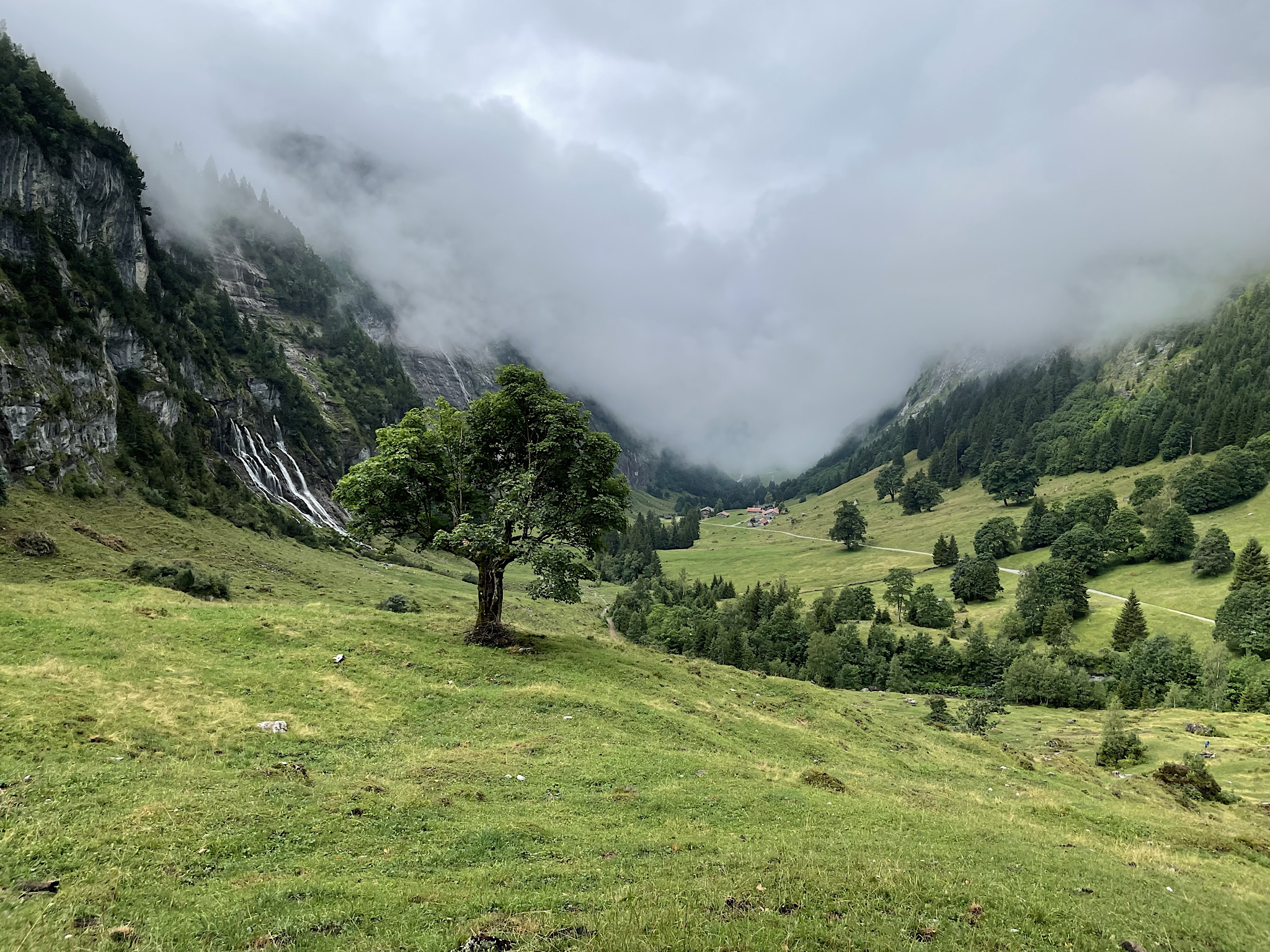 It was a pretty valley walk, anyway.