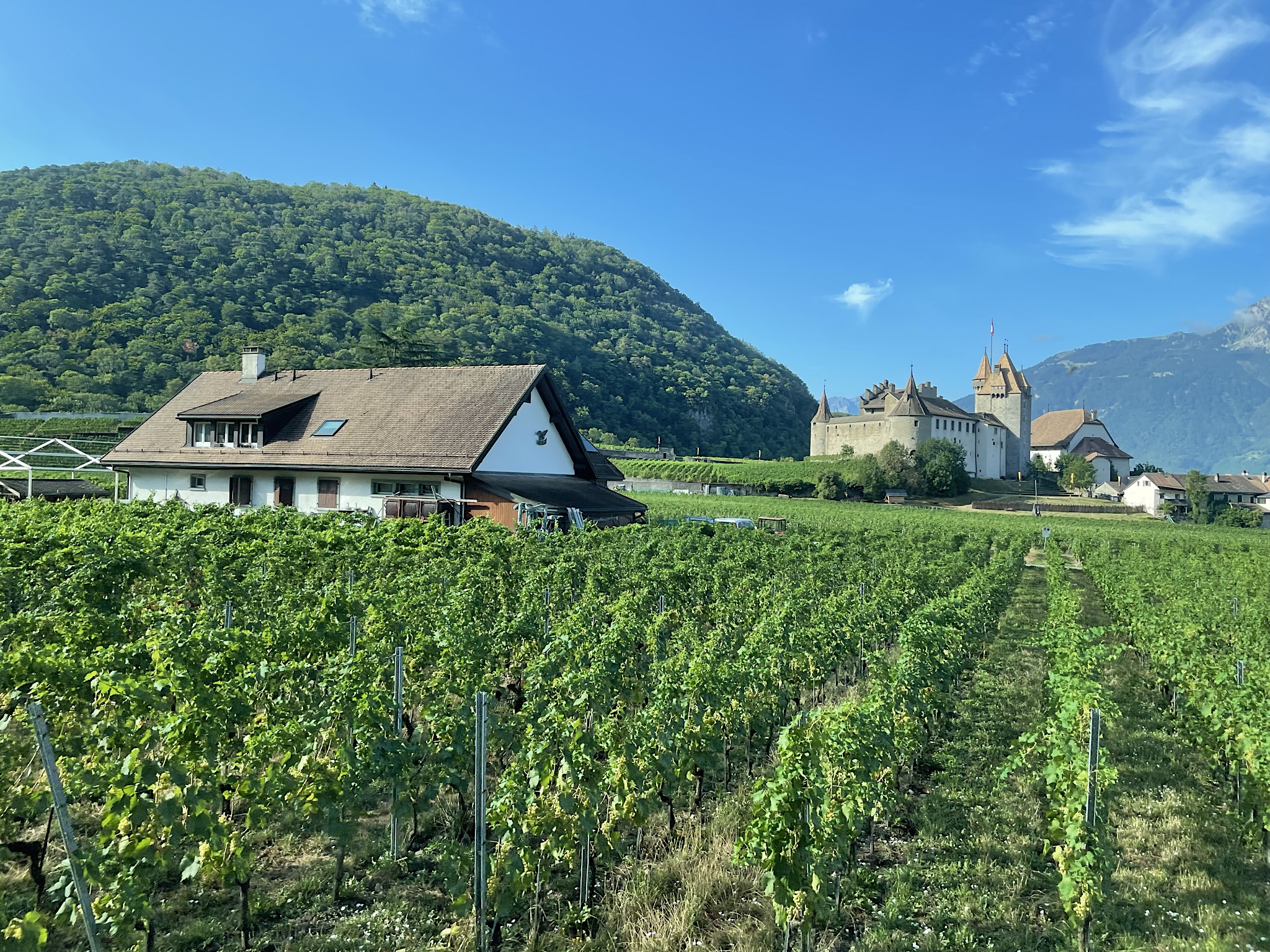 The scenery here is so different from the high mountains.