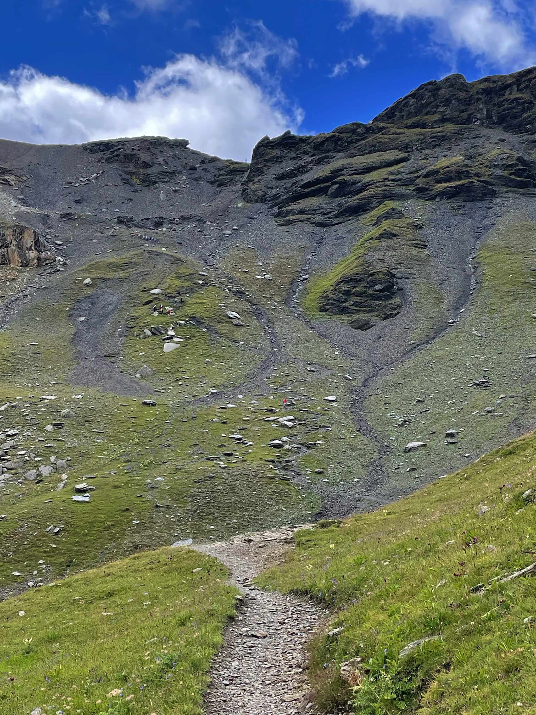 Wait, that’s the TRAIL?