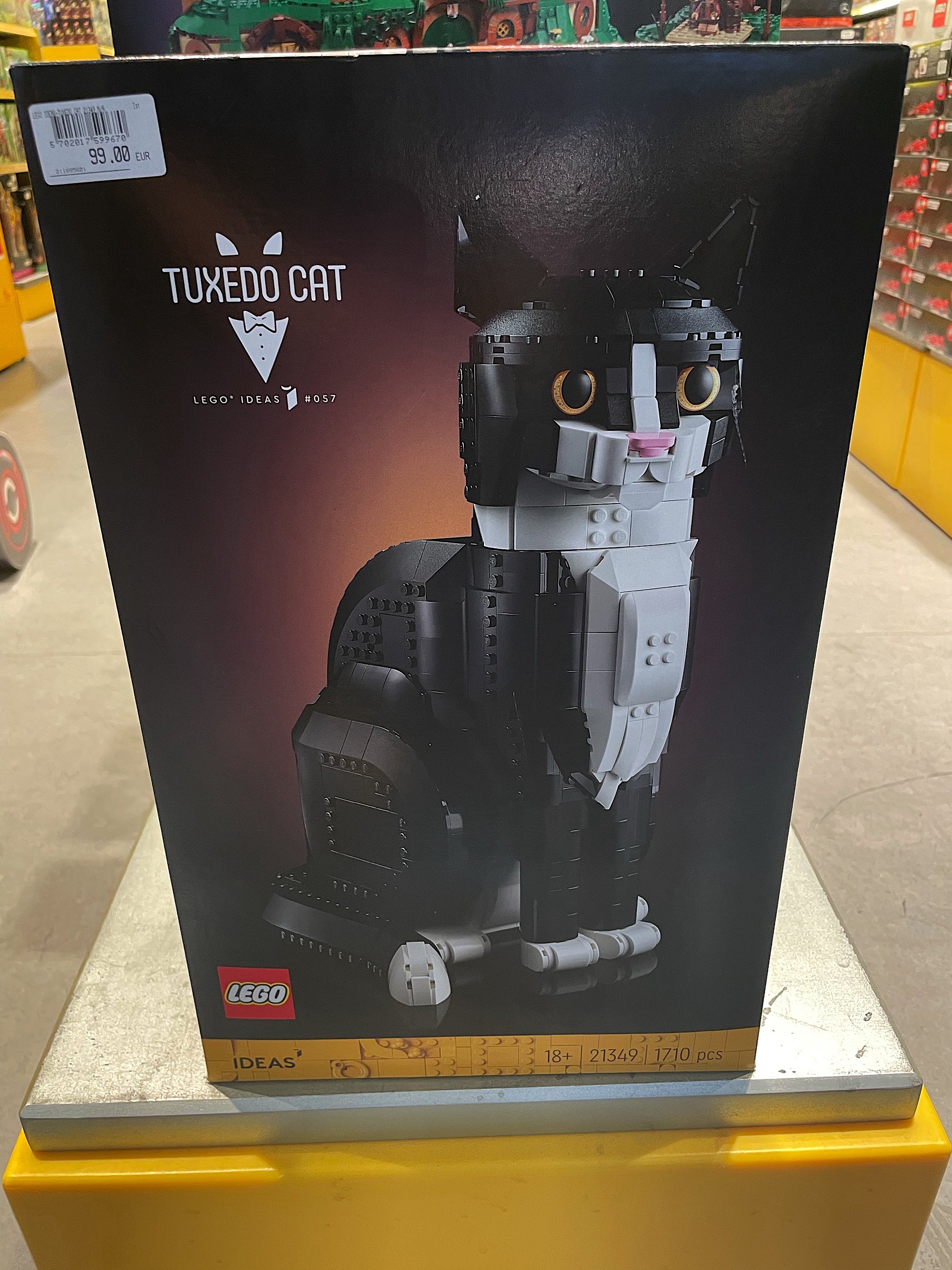 This looks just like our daughter Zoe’s cat, Winston. Alas, this wasn’t the ideal time to shop for giant lego kits.