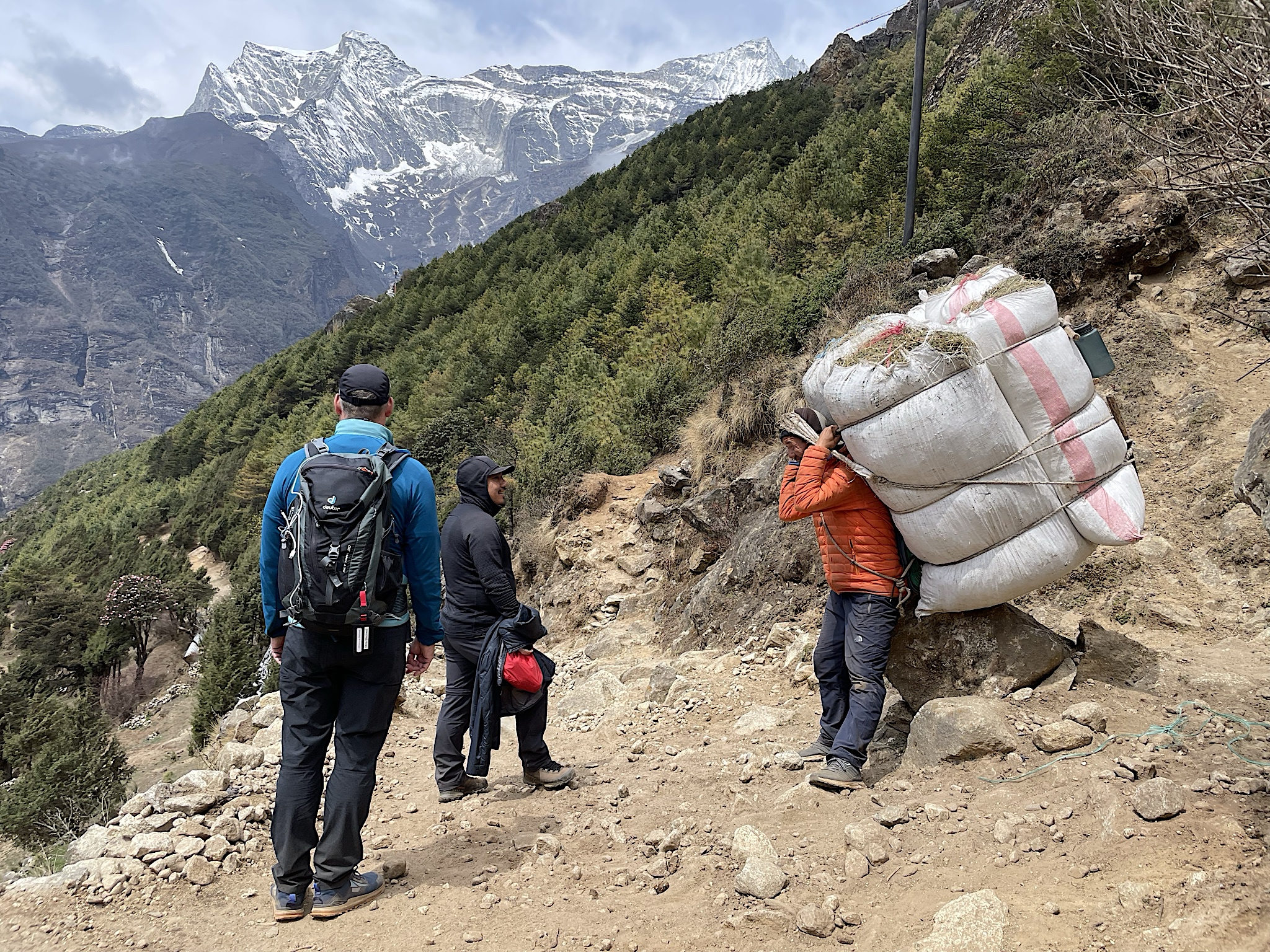 This is an exceptionally large load, even for a Nepali porter, but then pine needles don’t weigh as much as plywood or rebar.